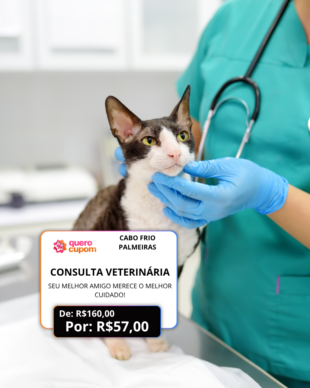 🐾 CONSULTA VETERINÁRIA COM DESCONTO IMPERDÍVEL! 🩺💙