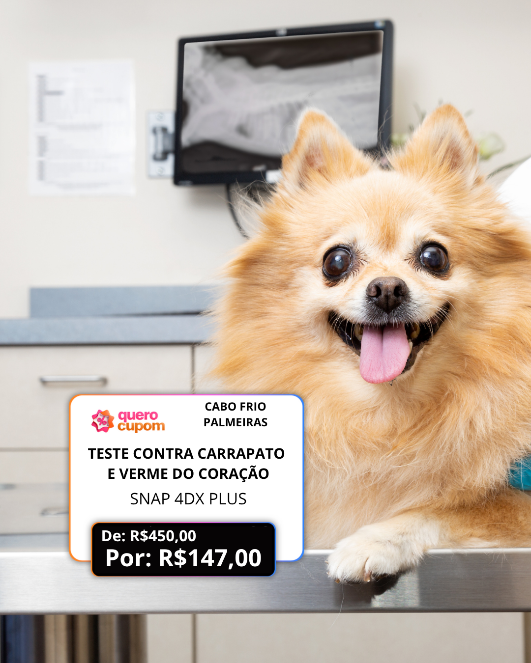 🐶 MÊS DE PREVENÇÃO – CUIDE DA SAÚDE DO SEU PET! 🧡